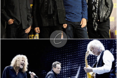 𝔄 𝔍𝔬𝔲𝔯𝔫𝔢𝔶