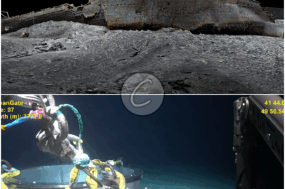 𝐃𝐫𝐨𝐧𝐞 𝐃𝐢𝐬𝐜𝐨𝐯𝐞𝐫𝐞𝐝