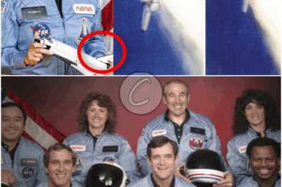 𝓽𝓱𝓮 𝓒𝓻𝓮𝔀