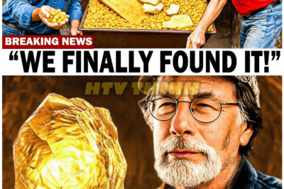 🦊 Oak Island ERUPTS in Shock as Crews Stumble Upon a Massive, Sealed Discovery—Insiders Say This Is the Moment “Everything We Thought We Knew” Gets Turned Upside Down 💥🏴‍☠️