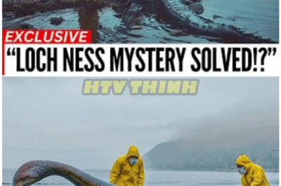 🦊 LOCH NESS MYSTERY FINALLY EXPOSED — SCIENTISTS UNCOVER SHOCKING TRUTH THAT COULD CHANGE EVERYTHING WE THOUGHT ABOUT THE LEGENDARY MONSTER! 🐉⚡