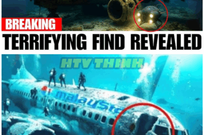 🦊 MH370 FINALLY Found Intact Under the Ocean—And What The Cameras Revealed Inside The Cabin Has Experts Stunned Worldwide 🌊