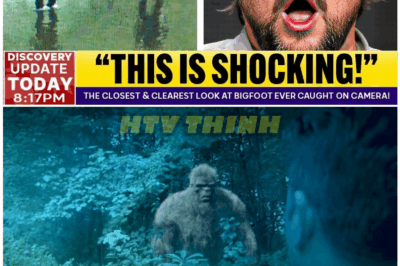 🦊 Matt Moneymaker Claims He’s Captured The Clearest, Most Unbelievable Bigfoot Image Ever—And Experts Are Scrambling To Explain It 👀