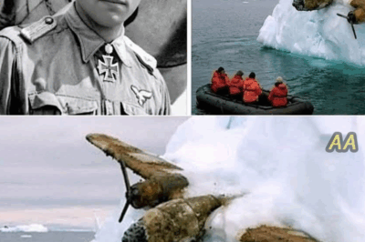 79 Years Later, Hans Keller’s Lost Messerschmitt Is Found Frozen in a Glacier, Revealing a Mystery That Defies All Explanation ❄️✈️❓
