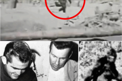 BREAKING REVELATION: Newly Unearthed Footage Forces Bob Gimlin to Confront a 57-Year Mystery That Has Stunned Researchers Worldwide