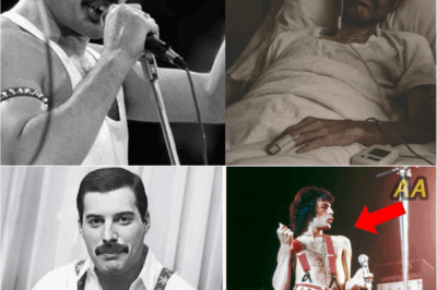 The Untold Strange Facts About Freddie Mercury’s Final Concert That Fans Never Knew 🎤✨❓
