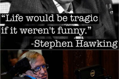 Stephen Hawking’s Untold Story: Humor, Genius, and Secrets of the Universe Revealed 🌌🪐
