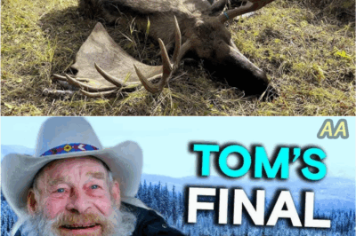 “Tom Oar’s Final Trapline Journey Through Montana’s Untamed Wilderness Reveals Hidden Dangers and Unseen Secrets ❄️🏔️🐾🌌”