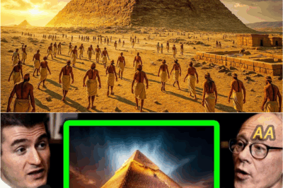 “Ancient Egyptian Mysteries Revealed: Pyramids and the Sphinx Like You’ve Never Seen Before…”