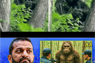 Bryce Johnson Captures Jaw-Dropping Bigfoot Footage in the Washington Cascades — Experts Left Stunned 🌲👣👁️✨