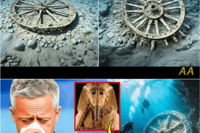 “Sunken Secrets of the Red Sea: Pharaoh’s Chariot Wheel Recovered, Hinting at Ancient Disaster 👁️🌊✨”