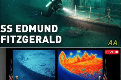 “The Edmund Fitzgerald’s Lost Bridge Recording: The Terrifying Final Flash That Changes Everything ⚠️🌊❓”