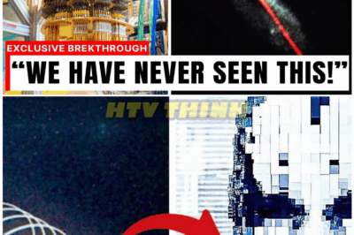 🦊 “Quantum Chip SHOCK: Voyager 1’s Data Hides a Secret Message Scientists Couldn’t Believe Existed 🚀🛸”