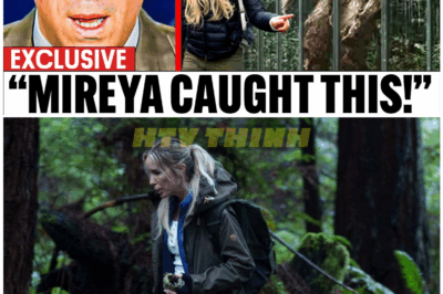 🦊 Wildlife Bombshell Erupts: Mireya Mayor’s Expedition Reportedly Captures a Massive Unknown Creature on Camera—Experts Scramble as the Story Breaks Worldwide 🎥