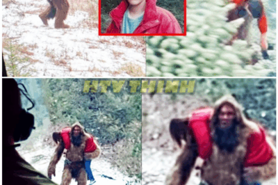 🦊 “Helicopter Pilot’s TERRIFYING Discovery — Footage of a GIANT Bigfoot Allegedly Carrying a Human Sparks Global Panic, Cover-Up Rumors, and a Mystery Too Dark to Ignore 👣”