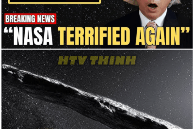 🦊 “1 MIN AGO: 3I/ATLAS Suddenly Accelerates 300% Faster Than Models Allowed — Global Astrophysicists in Chaos as Michio Kaku Issues Cryptic Warning!” 🚀✨