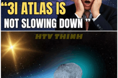 🦊 3I ATLAS’ Terrifying Momentum: The Alarming New HQ Images That Expose Unexplained Anomalies, Shadowy Movements, and a Spine-Chilling Mystery the Organization Can No Longer Hide 🔥👁️