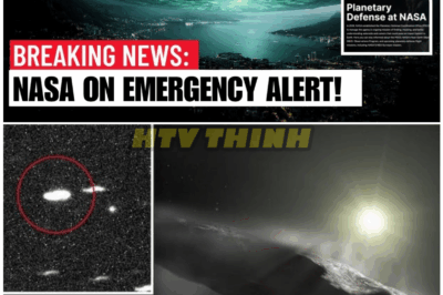 🦊 NASA Scientists Rushed Into High Alert Mode After 3I/ATLAS Released a Mysterious, Impossible Signal — Experts Say They’ve NEVER Seen a Comet Behave Like This! 🚨