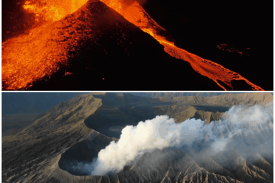 🌋 “The Supervolcanoes Scientists Warn Could Erupt: Are We Prepared for the Next Catastrophe?” 🌍