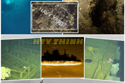 🦊 Sunken WWII U. S. Ship Found in Impossible Condition—Experts Stunned by Its Near-Perfect Preservation After 80 YEARS ⚓😱