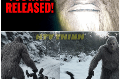 🦊 Midnight Woods Shocker: Bryce Johnson Reveals Expedition Bigfoot Cameras Captured a Terrifying “Unclassified Entity” Moments After the Team Left 🌲