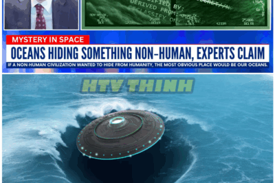 🦊 OCEANIC UFO UPRISING: Shockwaves Rip Through Washington as Naval Witnesses Hint at Objects Rising Straight Out of Earth’s Deepest Waters 🌊⚡