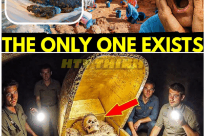 🦊 “Archaeologists Break Open a 1,000-Year-Old Sealed Chamber – The Shocking Discovery Inside Could Rewrite History Forever!” 🏺