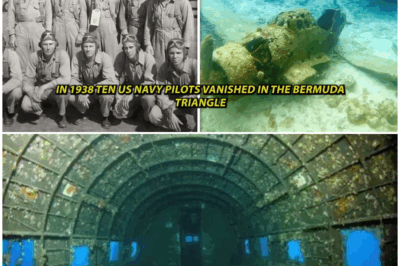 🌊✈️ “Secrets of the Deep: How a 70-Year-Old Conspiracy Unraveled the Truth Behind the Disappearance of 10 Navy Pilots in the Bermuda Triangle” 🔍🕵️‍♀️
