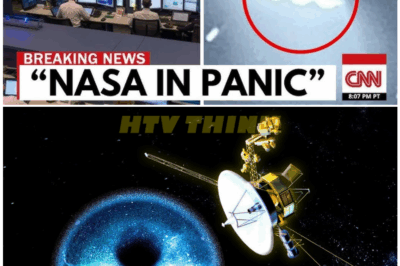🦊 NASA FINALLY REVEALS the Bone-Chilling, Unexplainable Transmission From Voyager 1 — Scientists Admit They’ve NEVER Seen Anything This Disturbing in Deep-Space Data 👁️