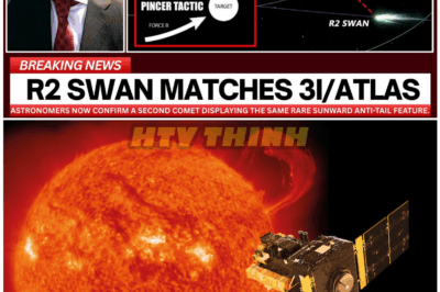 🦊 ASTRONOMERS STUNMED: SECOND COMET SWAN SPOTTED WITH MYSTERIOUS SUNWARD ANTI-TAIL — COSMIC PHENOMENON LEAVES SCIENTISTS BAFFLED AND SKYWATCHERS AMAZED! 🌌☄️