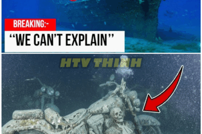 🦊 EXPLOSIVE DEEP-SEA REVELATION: A Lost WWII Ship Packed With Hundreds of Massive Motorcycles Finally Found—And What Investigators Saw Inside Left Them REELING 🔥