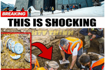 🦊 Archaeologists Stunned As 2,000-Year-Old “Great Wall of Hadrian” Discovered—And Experts Are Scrambling To Explain Why It Shouldn’t Exist 🏛️