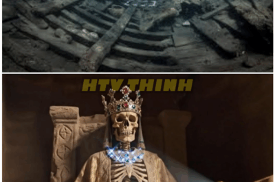 🦊 Long-Buried Ottoman Treasure Secrets EXPOSED—Forbidden Maps, Hidden Vaults, and the Dark Truth Hunters Weren’t Supposed to Know 🗝️