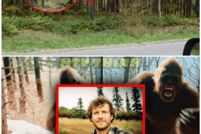 🦊 “This Hunter Claims He Saw Bigfoot — The Terrifying Footage Sending Shockwaves Through the Wilderness Community and Sparking a Frenzy of Fear, Debate, and Cover-Up Rumors 👣”