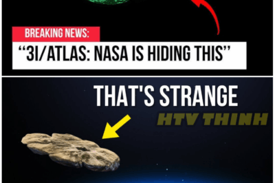 🦊 3I/ATLAS Exposed: The Shocking Secrets NASA Left Out of the Images That Have Scientists Whispering in Alarm! 😱