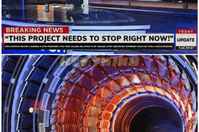 🦊 “CERN Scientists Plunge Into Crisis as Rumors Explode About a ‘Spacetime Glitch’ Detected Moments After Reaching Record-Breaking Energy Levels—Chaos Forces Sudden Project Shutdown” ⚠️