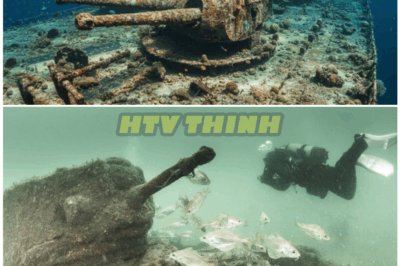 🦊 HISTORIC SHOCKWAVE IN THE DEEP: Divers Uncover a Massive WWII Shipwreck Stuffed With Hundreds of Lost Tanks—And Experts Say the Real Secret Isn’t the Cargo, But WHY It Was Hidden 💥**