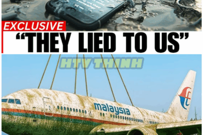 🦊 MH370 SHOCKING NEW EVIDENCE: Secret Files Reveal a Government Cover-Up That Could Rock the World 🌪️