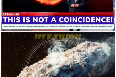 🦊 “Astronomers REEL in Terror as 3I/ATLAS Enters the Solar System and the Sun Unleashes a ‘Butterfly Hole’ 35x Earth’s Size — What Happened Next STUNNED the World 🌌⚡”