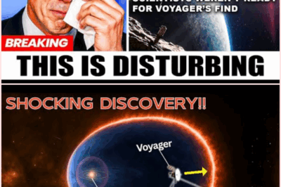 What Voyager 2 Discovered at the Edge of the Solar System Will Leave You Speechless!