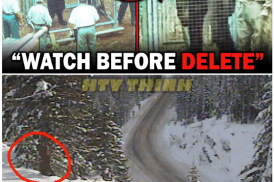 🦊 BREAKING: NEW BIGFOOT FOOTAGE FROM WASHINGTON STUNS EXPERTS — THE MOST CONVINCING SIGHTING EVER RECORDED SHAKES THE CRYPTOZOOLOGY WORLD TO ITS CORE! 👣⚡