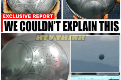 🦊 “Scientists PANIC as the Buga Sphere Suddenly Changes Course — Experts Now Claim It May Be a RETURNING Earth Probe… But the Hidden Twist Has Everyone Terrified 🛰️⚠️”