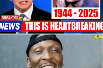 The Discovery Inside Jimmy Cliff’s Estate That Left Everyone In Tears