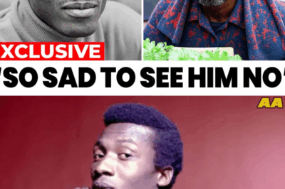 The Silent Battle Jimmy Cliff Fought for Years Comes to Light at Last