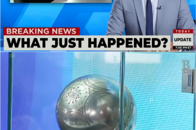 Viral Video Shows Buga Metallic Sphere Responding to Vedic Chants — Experts Stunned”