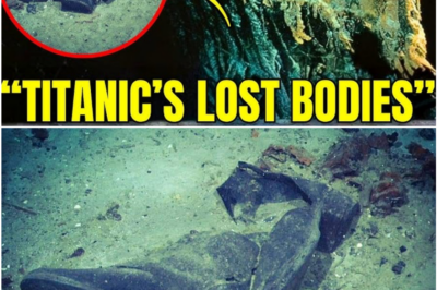 Titanic Tragedy Revisited: The Haunting Fate of the Victims After the Ship Sank