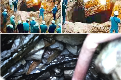 Oak Island Excavation Reveals Astonishing Pre-1700s Metal Artifacts That Could Rewrite History