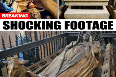 “Shock Find Beneath Westminster: Archaeologists Unearth the Secrets Henry VIII Took to His Grave”