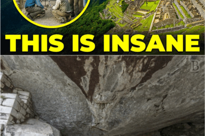 “Sealed for 500 Years: The Forbidden Room in Machu Picchu Archaeologists Weren’t Ready For”