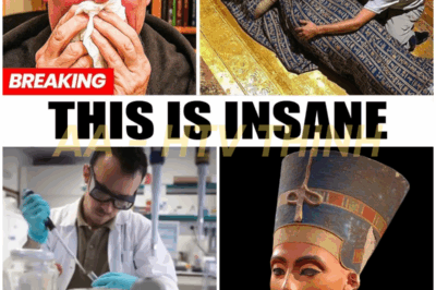 🔥The DNA of Queen Nefertiti Has Finally Been Analyzed — And What It Revealed Is Far More Disturbing Than Anyone Ever Imagined!